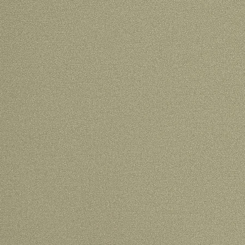 Обои 54355-8 Andrea Rossi Spectrum Plus 1.06*10.05