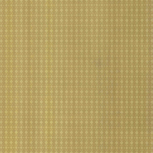 Обои RC 17116 (0,7*10,05) Roberto Cavalli Home 6 Emiliana Parati Италия